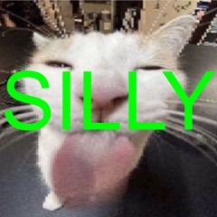 SILLY (t57)