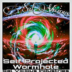 Self Projected Wormhole