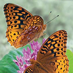 [GET] EPUB 💛 Butterflies of the Northeast: Identify Butterflies with Ease (Adventure