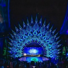 UNIVERSO PARALELO 2024