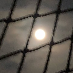 RidingChari(Prod.Dumb）