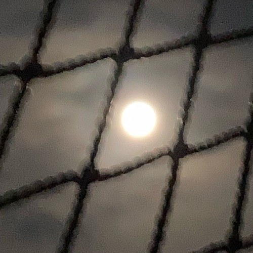 RidingChari(Prod.Dumb）