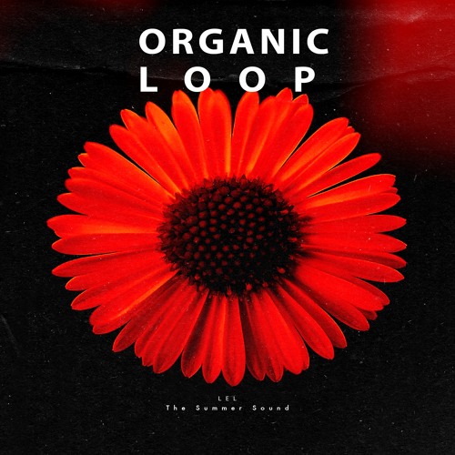 The Summer Sound (Original Mix)