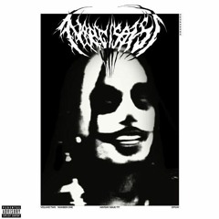 Playboi Carti - Fell in Luv (RockStar V2)