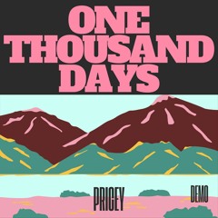 One thousand days - DEMO