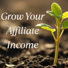 Zero Budget Affiliate: Your Free Traffic Guide