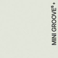 mini groove⁵