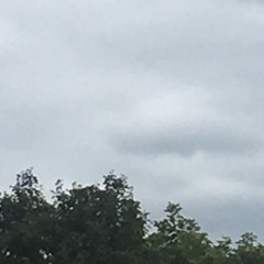 melted rope - lofi version (Wand song)