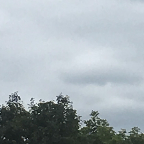 melted rope - lofi version (Wand song)