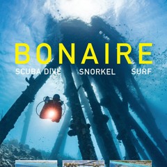 ePUB download Reef Smart Guides Bonaire: Scuba Dive. Snorkel. Surf. (Best