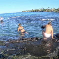 Best Kahaluu Beach Park Snorkeling Prices Reviews