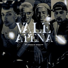 VALE A PENA - MC MINININ, MC MENOR DN, DJ NARDIIN E DJ TASK