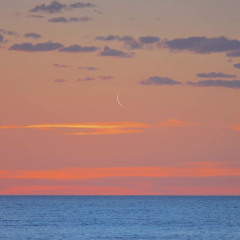 Vinyl Mix - Feb 2022