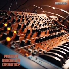 Passive Modular Circuitry [Official Release 17/06/2024]