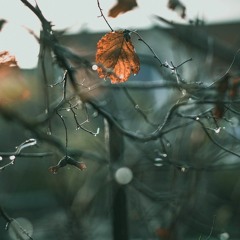 Only Me (Studio Version)