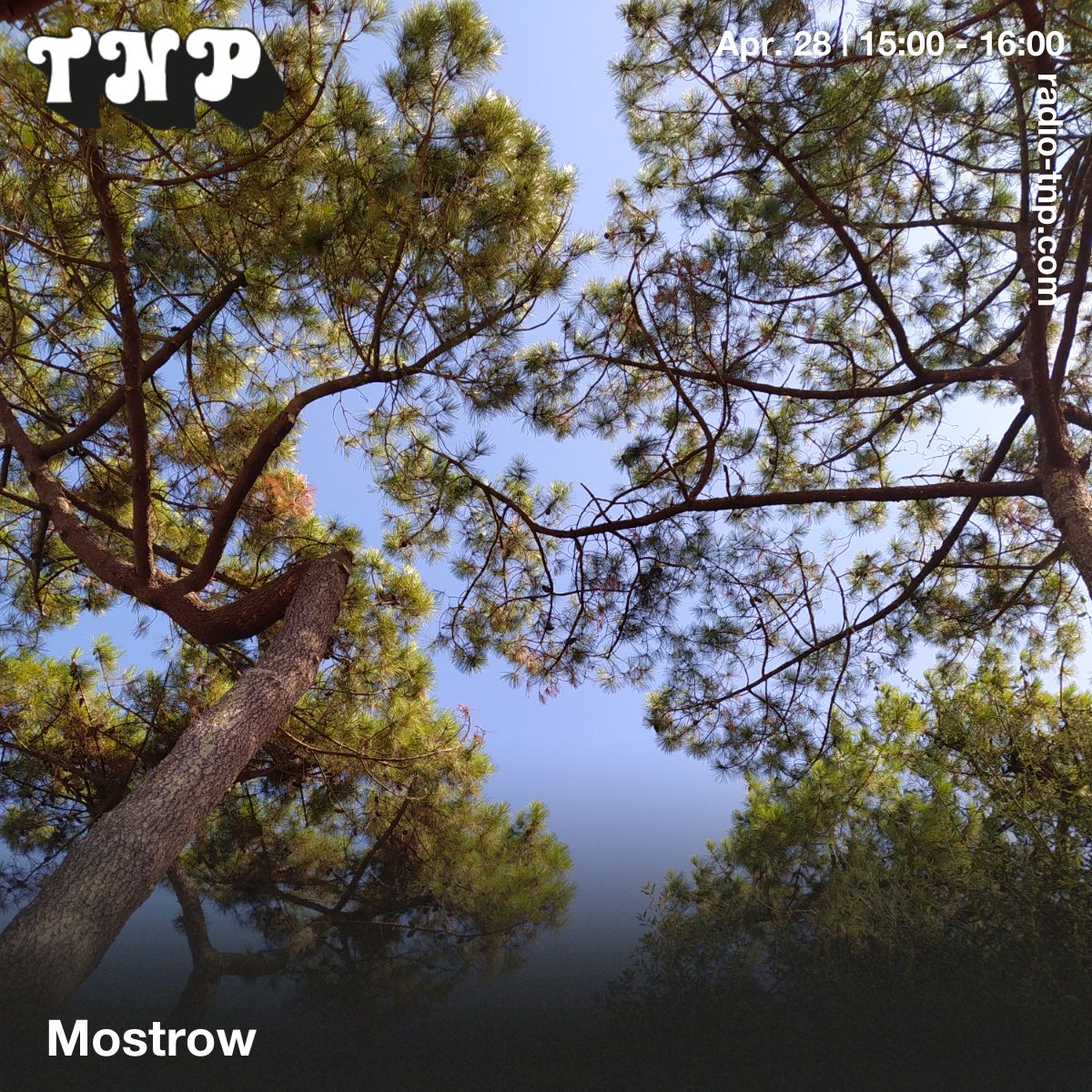 Mostrow