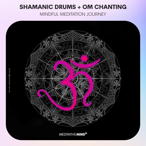 SHAMANIC DRUMS + OM CHANTING | Mantra Meditation Journey