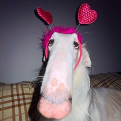 onimelnik – La la rain.mp3