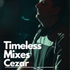 Timeless Mixes: Cezar (Vibecast Sessions 2013) DJ mix artwork - Electronic music tracklist cover image