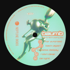 PREMIERE: Baumb - De Light [Neptune Discs]
