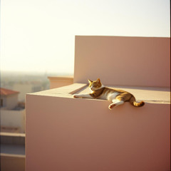 陽だまりの哲学者