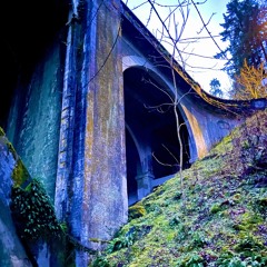 better off on my own (pekarot)