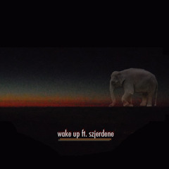 Wake Up (feat. Szjerdene)