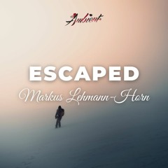 Markus Lehmann-Horn - Escaped
