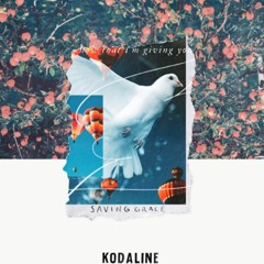 kodaline - saving grace / slowed + reverb