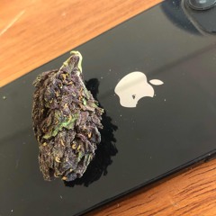 blunt de vainilla