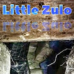 My.little.zulo.02