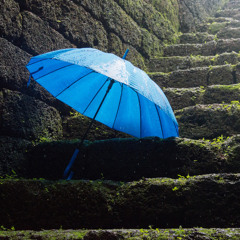 Shake Off The Rain – The Paper Kites (Stripped Back Piano Vocal Cover by olliray)