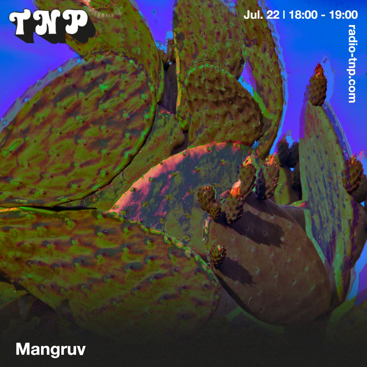 Mangruv