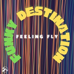 2. Funky Destination - Let The Spirit Heal