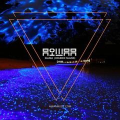 AIWAA — DHM Podcast #874 (Live@Salma, Holbox Island, Mexico 2020)
