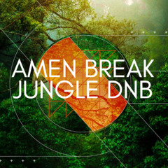 Amen Break Jungle DnB