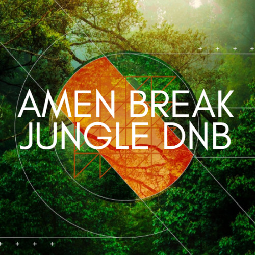 Amen Break Jungle DnB