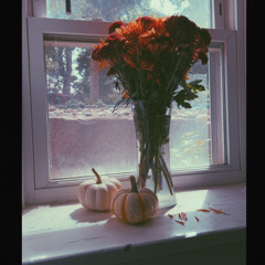 This is what we’re doing here