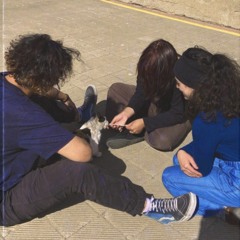 Ventana Stravi (ft chico electrico)