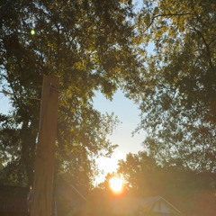 spread my ash (everett latte)