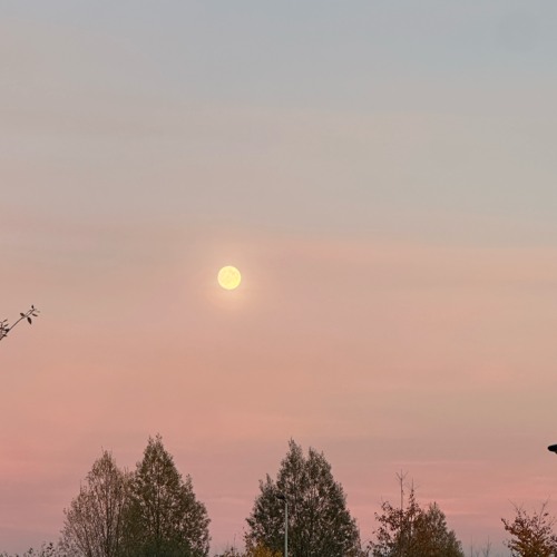 [Free DL] Remember who you are