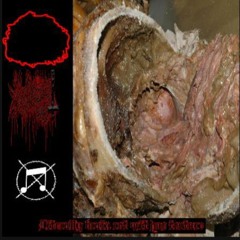 In grown maggot nest colonized .m4a