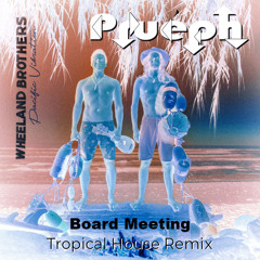 "Board Meeting" Wheeland Brothers (Tropical House Remix)