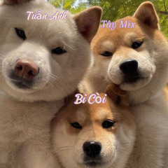 NST 2K25 - ANH ĐÃ KHÔNG BIẾT CÁCH YÊU EM