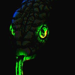 kodeee - archive fashion(bloodyvvs)