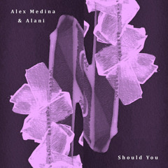 PREMIERE: Alex Medina & Alani - Should You (Original Mix) [Mumbai Records]
