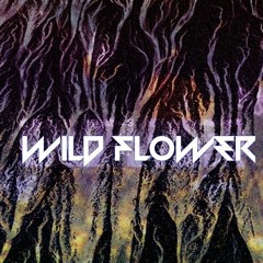 dynastic - wildflower /// stumpy remix