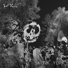 VAL S01E01 - Skunk York