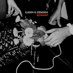 Disco House mix by Dj Faghat session 16