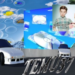 TEMU-37
